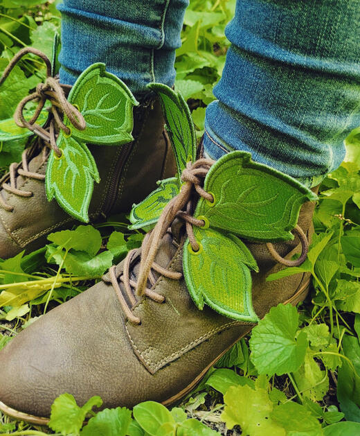 Earth Faerie Shoe Wings